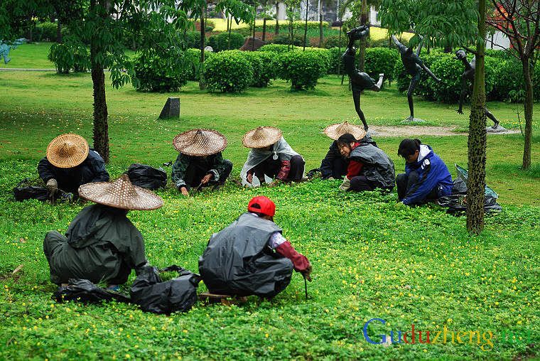 孤独症儿童未来可从事的十大职业