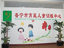 广东省普宁市育星儿童训练中心